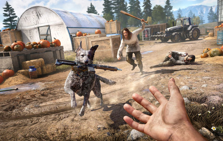 Image result for Far cry 5
