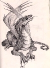 avatar di dragonslai
