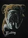 avatar di Bulldog