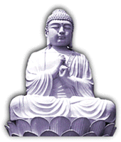 avatar di Mantra84