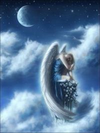 avatar di angeli e fate